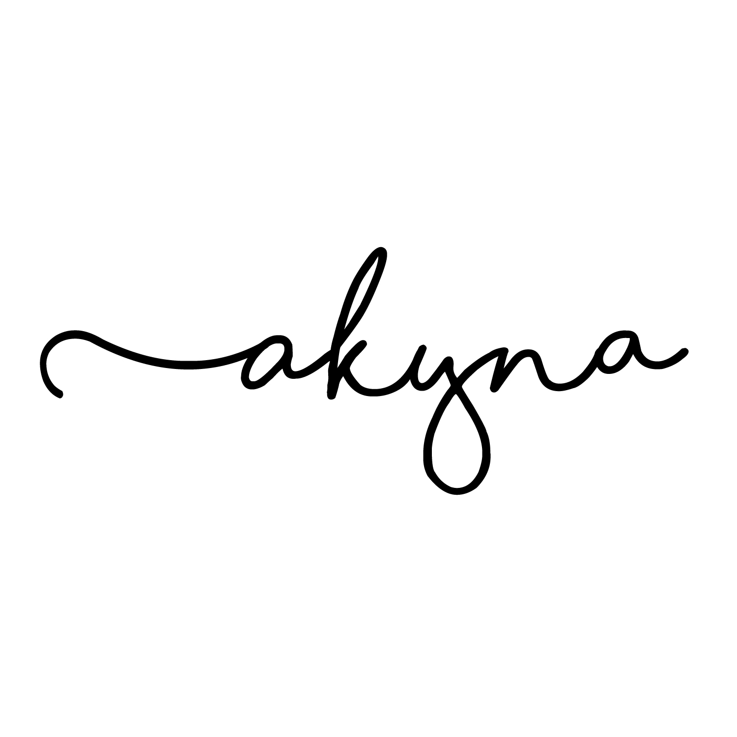 Logo Akyna